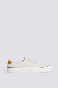Springfield White canvas sneaker