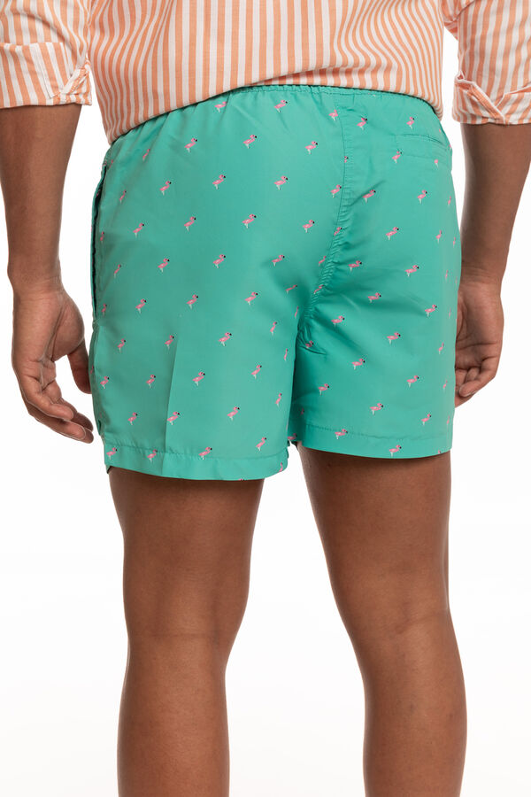 Celopman Printed swimwear green