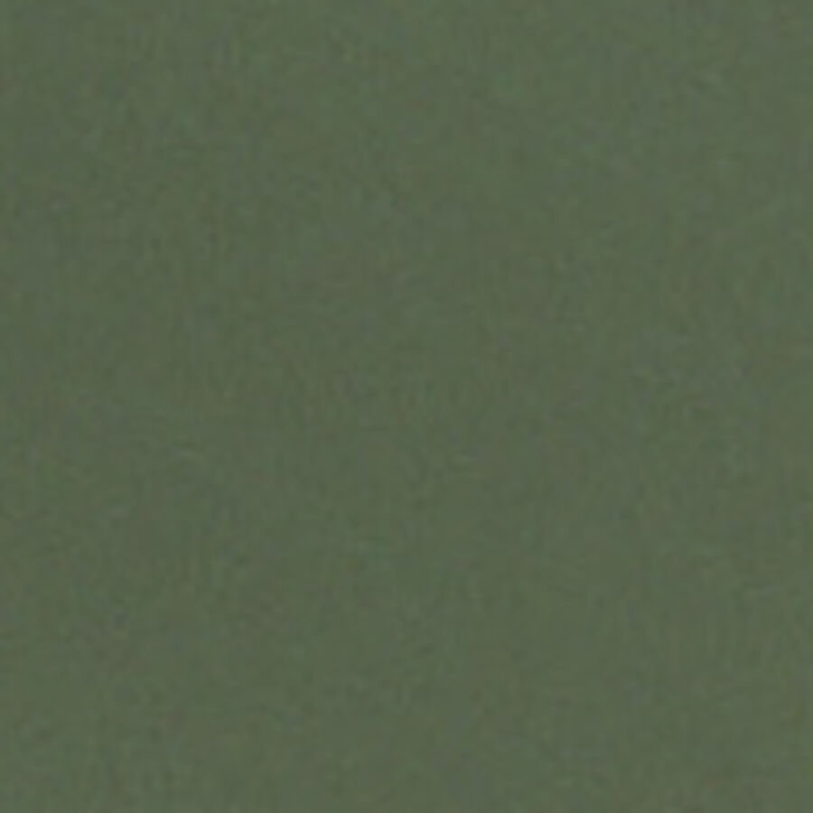 Color swatch