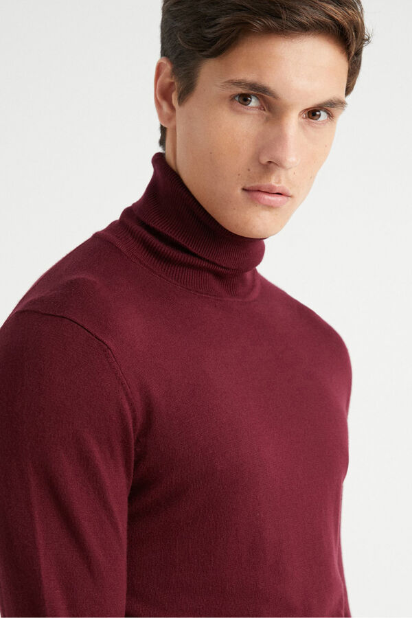 Inside Jersey B&aacute;sico Cisne rojo