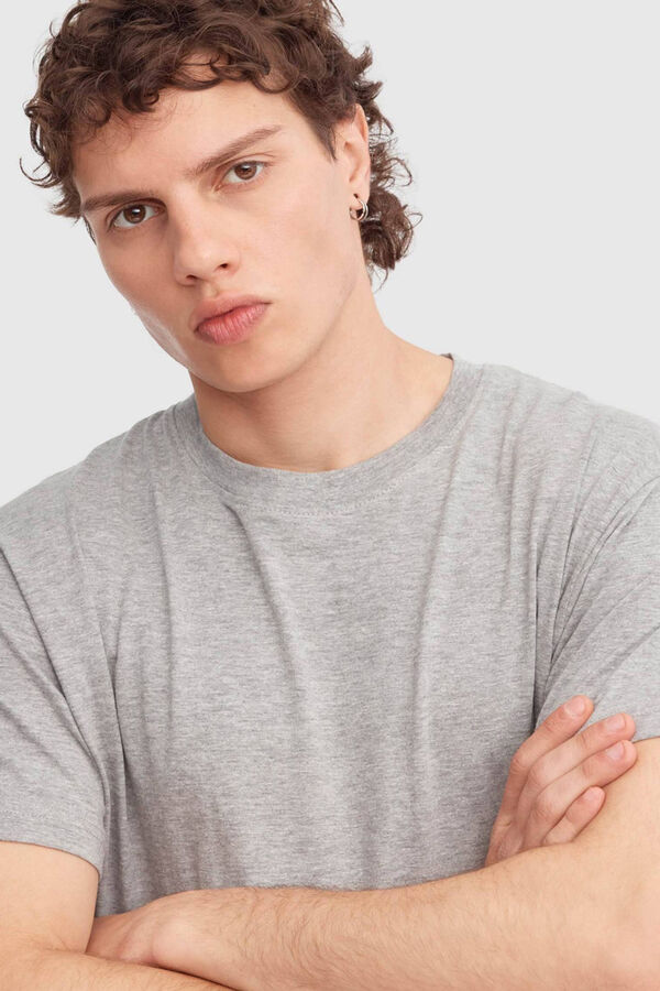 Inside Basic T-shirt grey