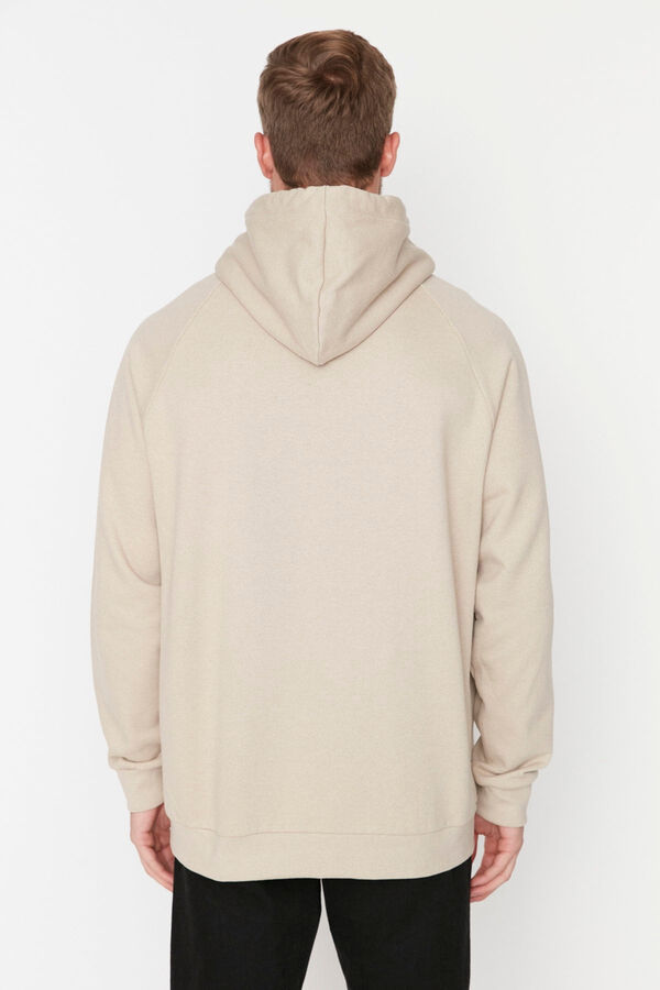 Trendyol Sudadera regular con capucha beige
