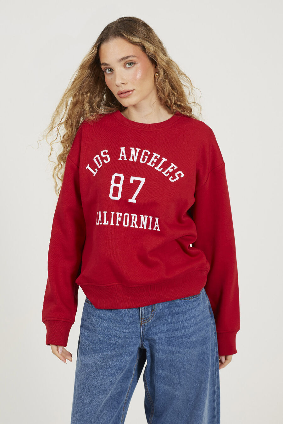 Sudadera con bordado