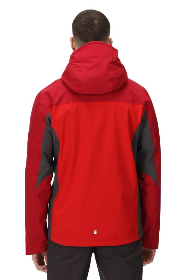 Springfield Birchdale waterproof jacket  royal red
