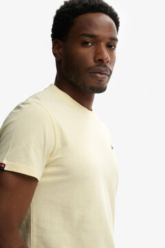 Superdry Basic short sleeve with small logo T-shirt