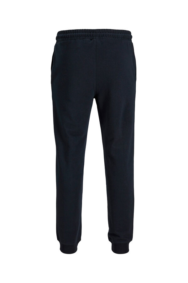 Jack & Jones Jogger pants blue