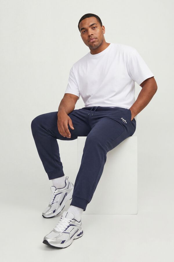 Jack & Jones PLUS Regular jogger trousers bleu