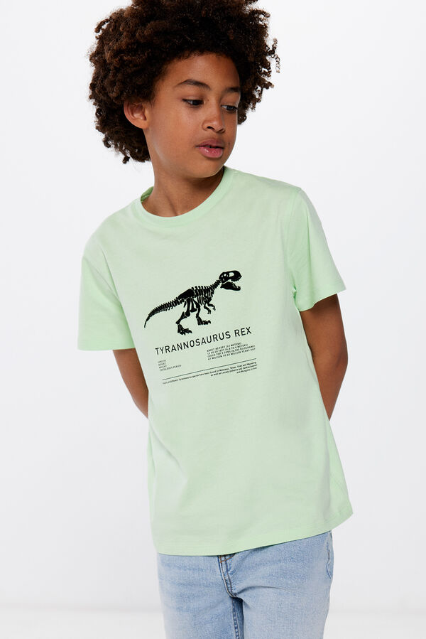 Springfield T-rex fiú póló zöld