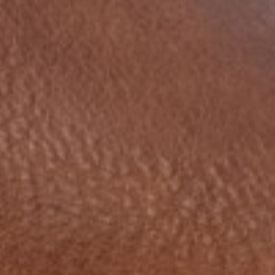 Color swatch