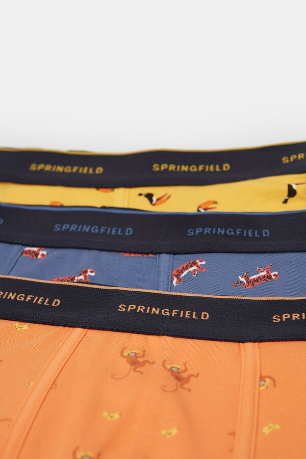 Springfield 3er-Pack Boxershorts Motive Tiere orange