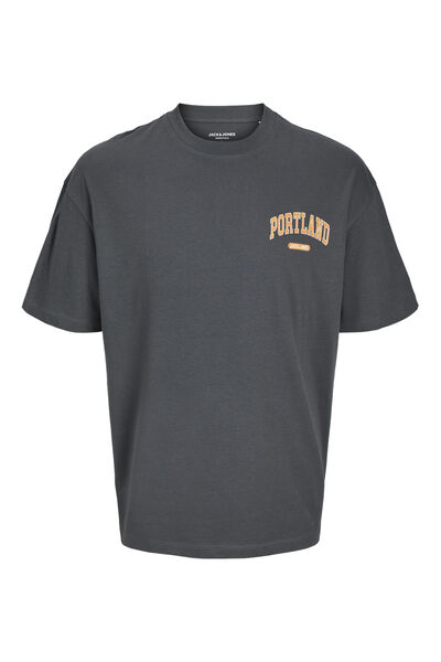 Springfield Boston Varsity wide fit T-shirt grey mix
