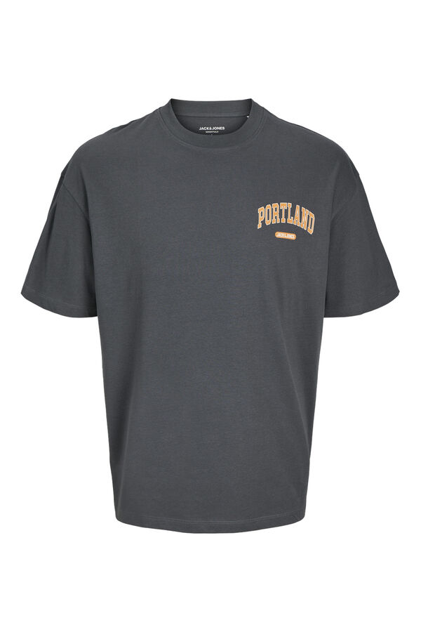 Springfield Boston Varsity wide fit T-shirt grey mix