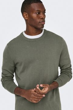 Only & Sons Jersey con cuello redondo y regular fit