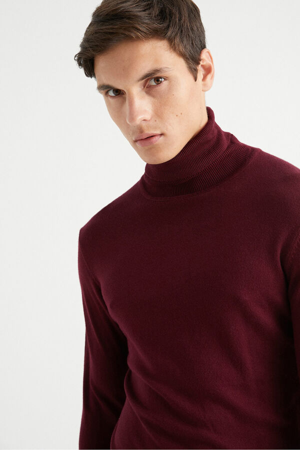 Inside Jersey B&aacute;sico Cisne rojo