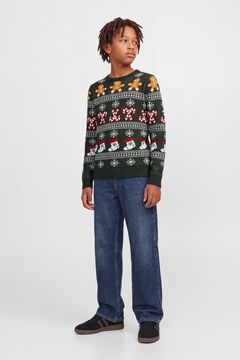 Jack & Jones Junior Camisola regular gola redonda