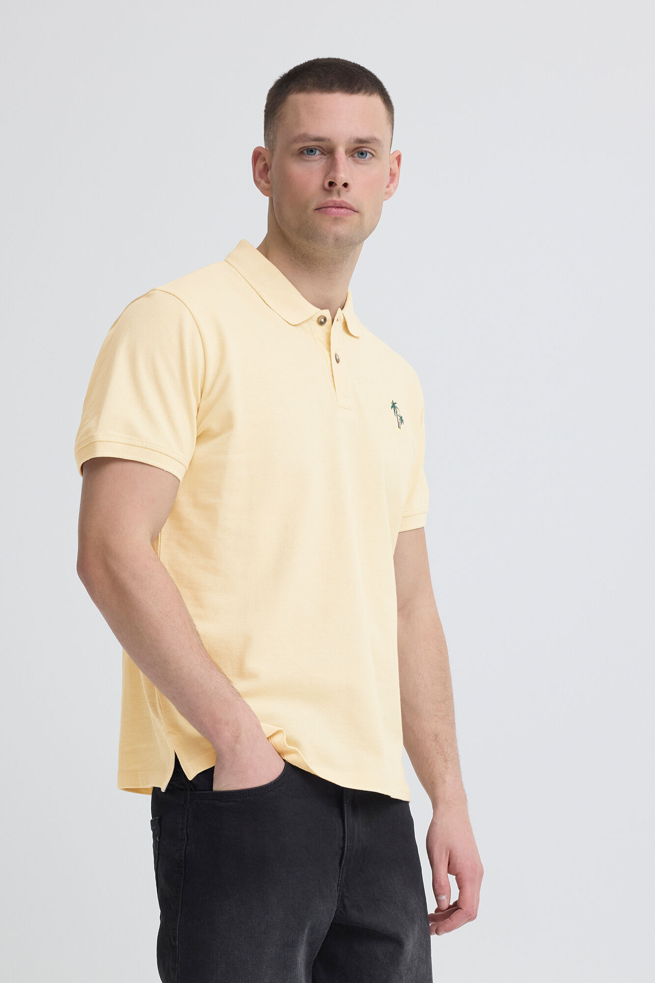 Blend Polo piqu&eacute; regular