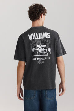 Springfield Camiseta F1 Williams FW18