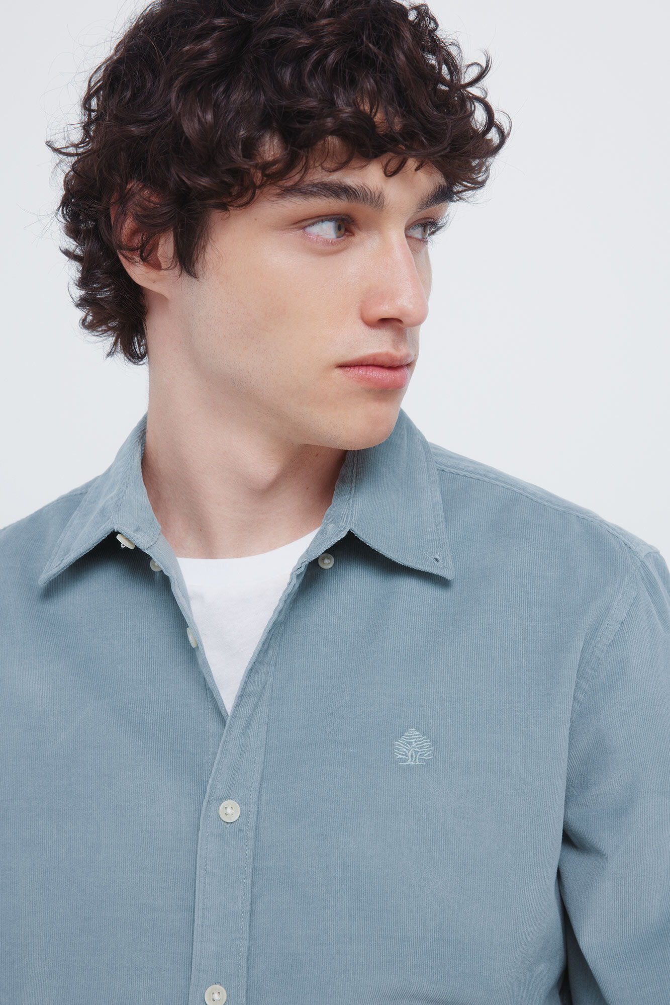 Springfield Micro corduroy shirt