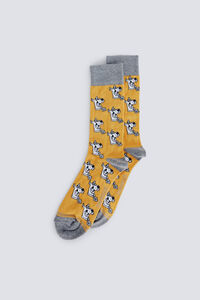 Springfield Scooby Doo Sock
