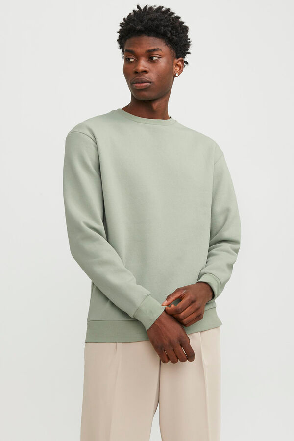 Springfield Sweatshirt Standard Fit grün