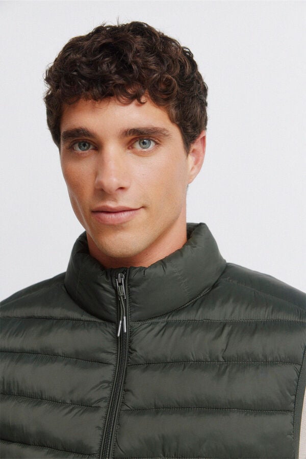 Springfield Colete acolchoado Caqui escuro