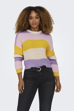 Springfield Coloured jersey-knit jumper purple