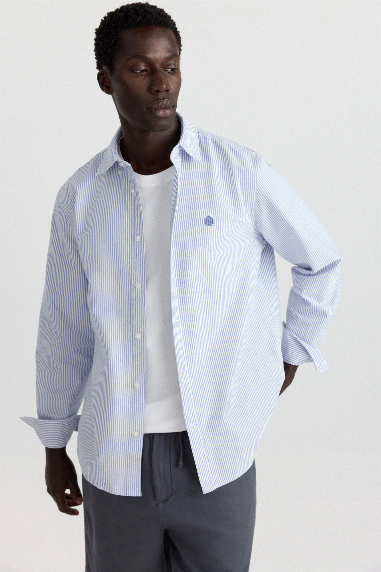 Springfield Camisa oxford &agrave;s riscas