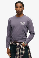 Superdry Round neck T-shirt grey