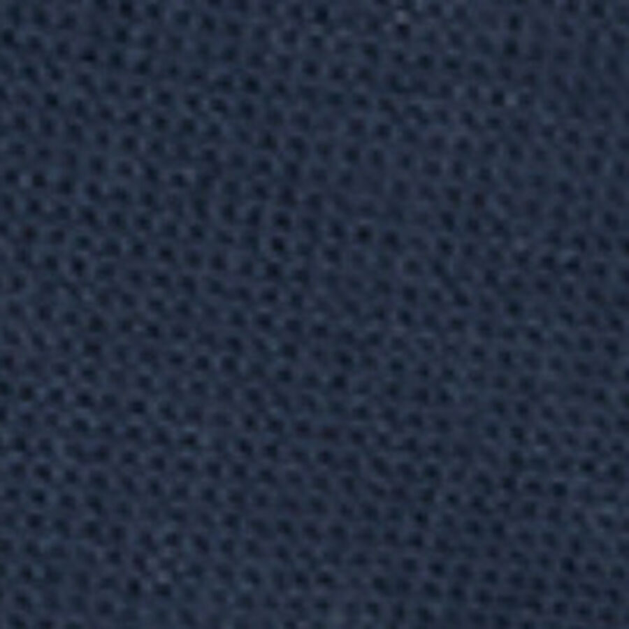 Color swatch