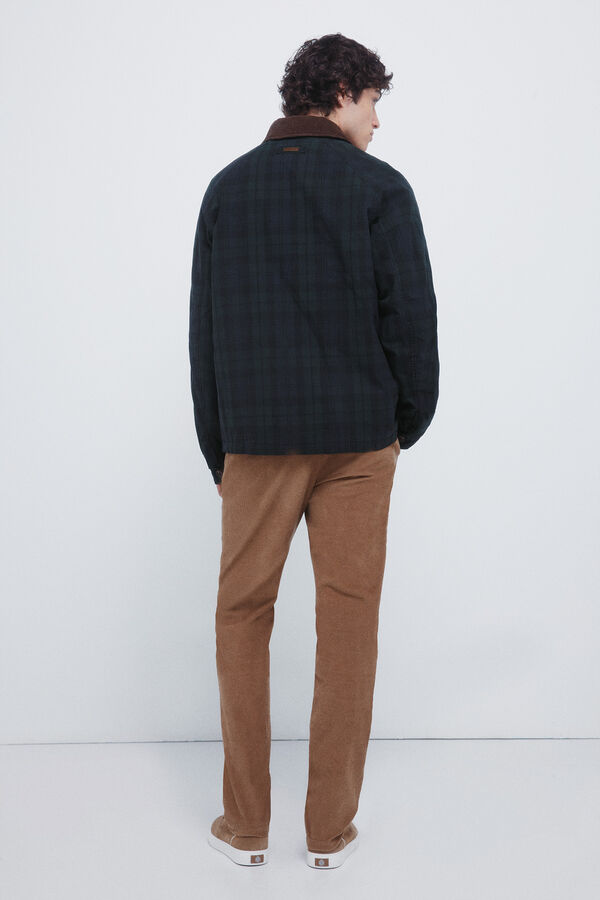 Springfield Čino chino pantalone od mikro somot Bež