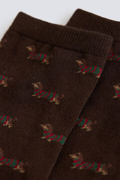 Springfield Dachshund socks