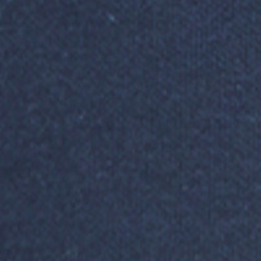 Color swatch