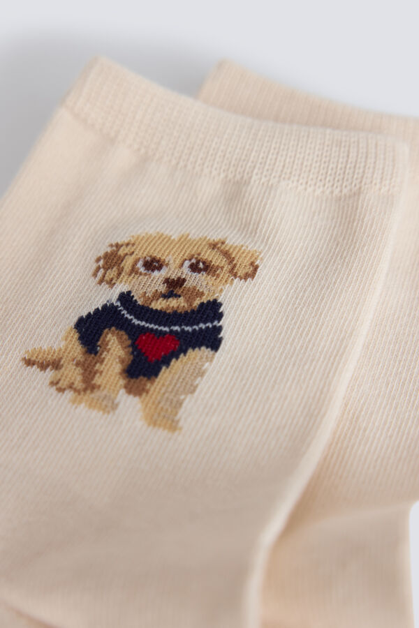 Springfield Basic dog socks beige