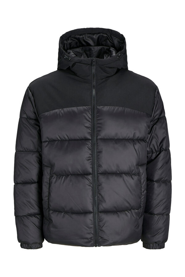 Capucha Chaquetas Hombre Invierno Springfield Springfield Cazadora  Acolchada Hombre Cortefiel Cazadora