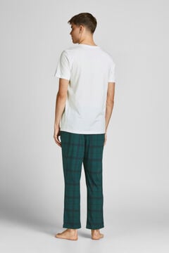 Springfield Cotton pyjamas grün
