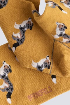 Springfield Australian shepherd cotton sock