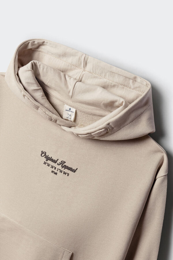 Springfield Kids Sudadera "Urban division" ni&ntilde;o nude