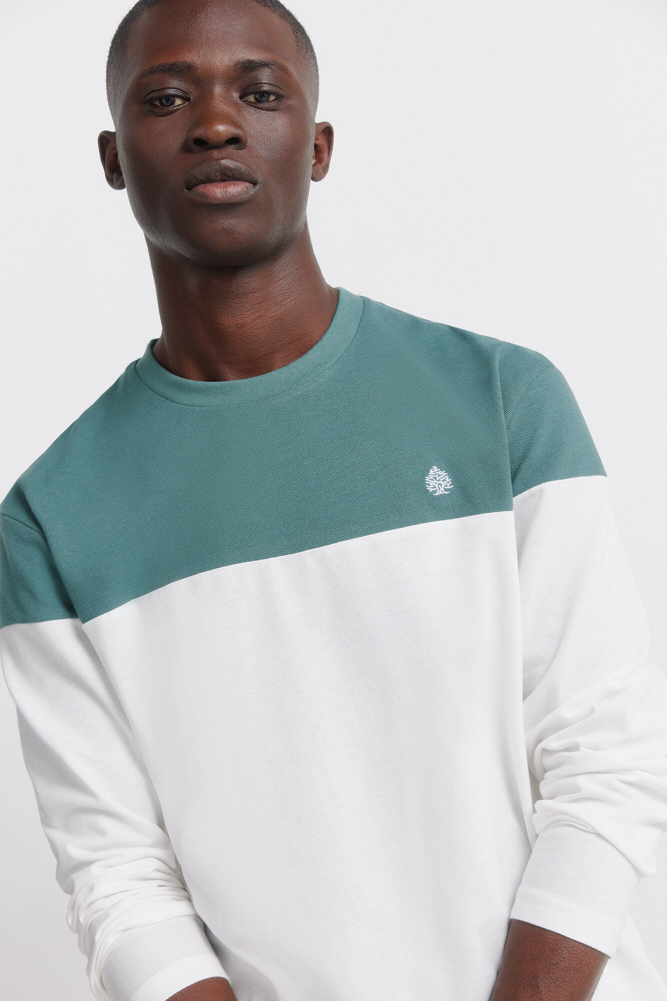 Springfield Color block long sleeve T-shirt