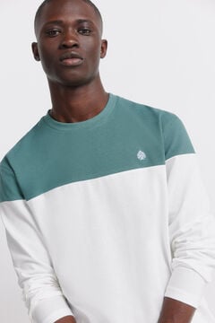 Springfield Camiseta manga larga bloque color