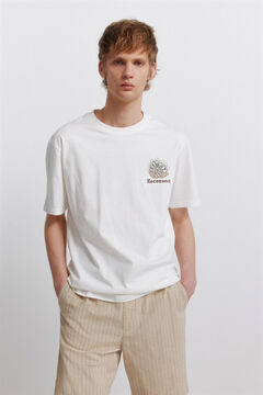 Springfield Camiseta Indiana