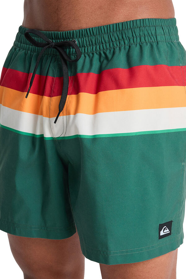 Quiksilver Logo swimwear green