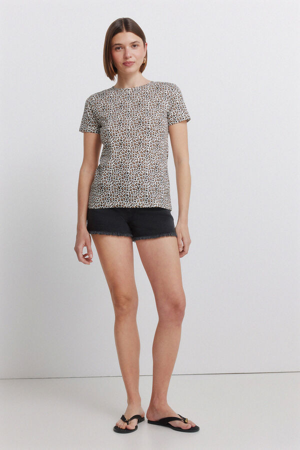 Springfield Printed short sleeve T-shirt brown