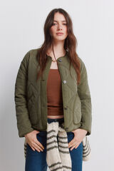 Springfield Green short puffer jacket beige