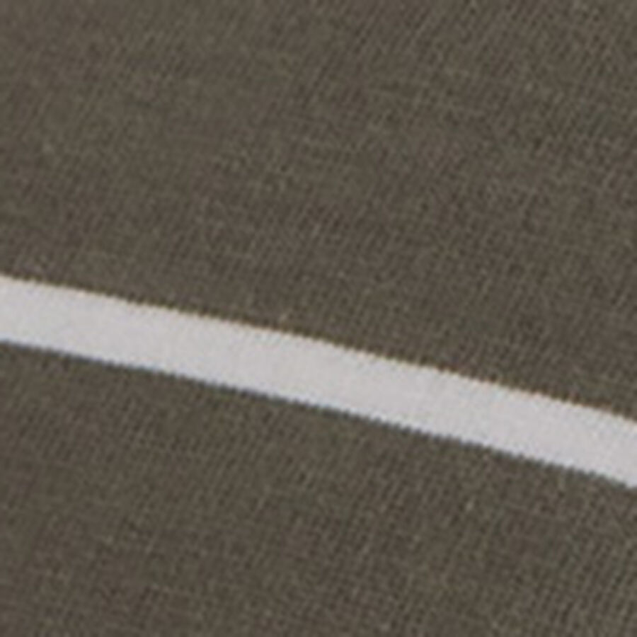 Color swatch
