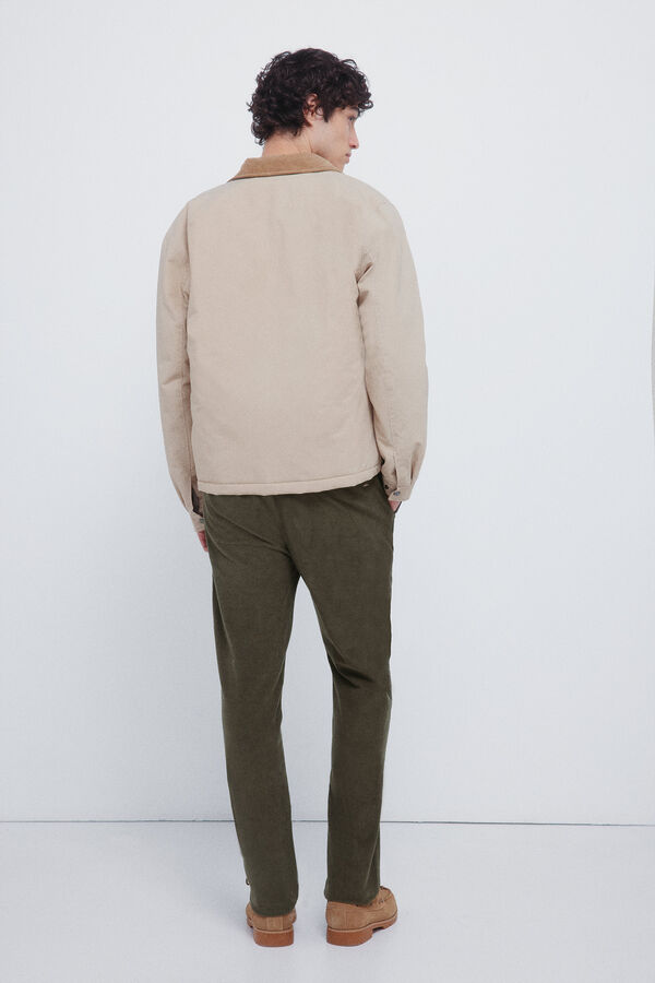 Springfield Čino chino pantalone od mikro somot Kaki