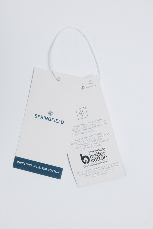 Springfield City graphic sweatshirt mink