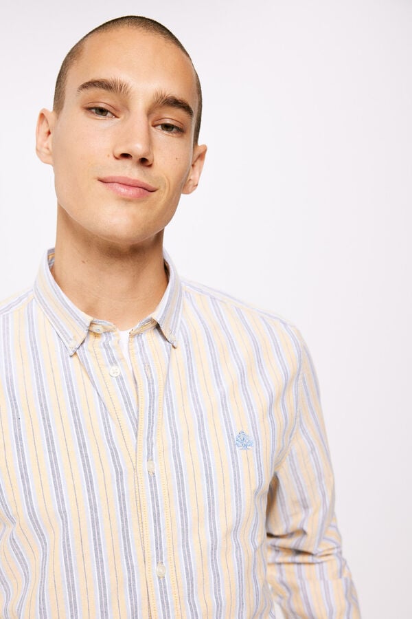 Springfield Chemise oxford rayures  couleur