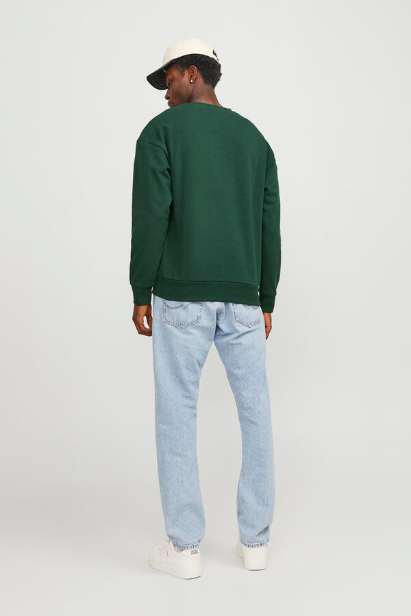 Springfield Sweatshirt padrão  verde