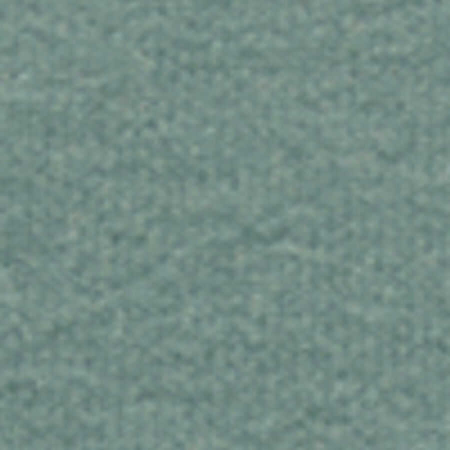 Color swatch