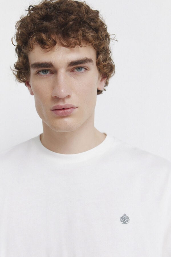 Springfield Carbon long sleeve t-shirt beige